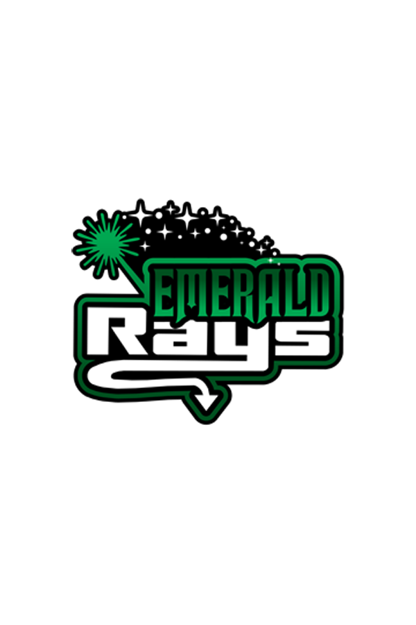 Emerald Rhinestone Bra