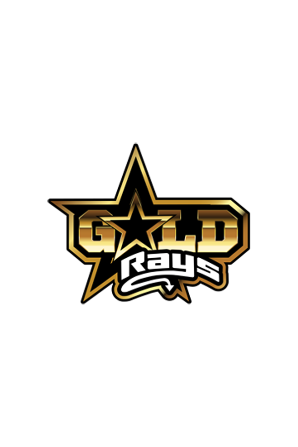 Gold Competition Hair Bow