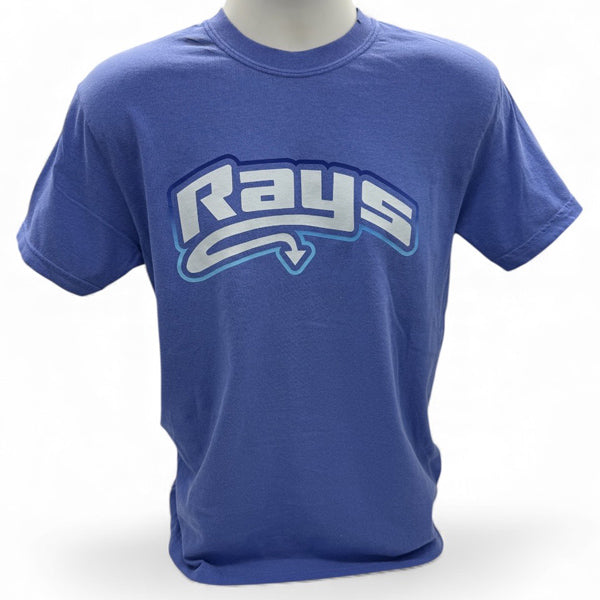Rays Ombre' Blue Comfort Color