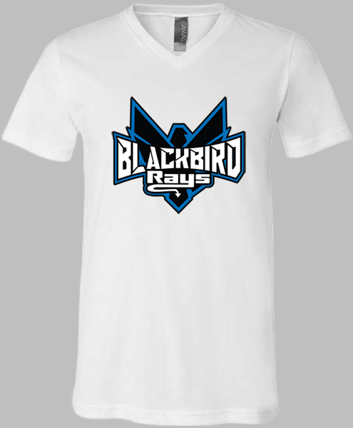 V-Neck T-shirt (Blackbird)