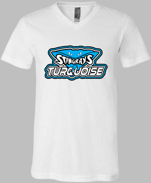 V-Neck T-shirt (Turquoise)