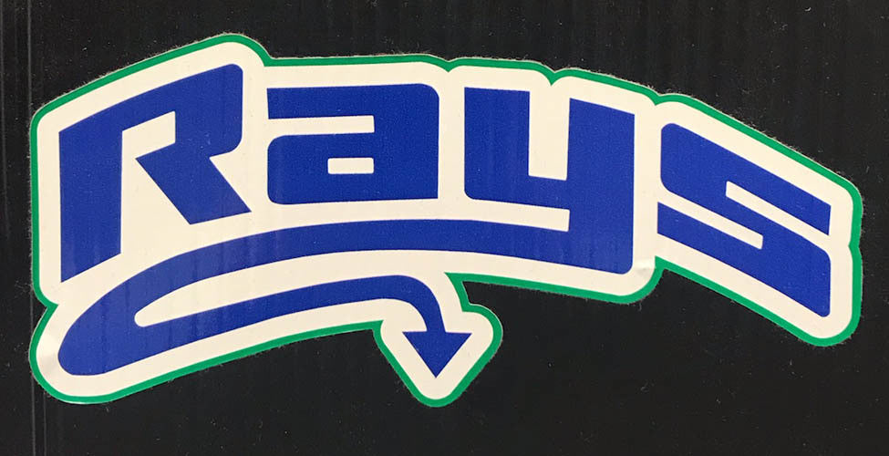 Rays Decal