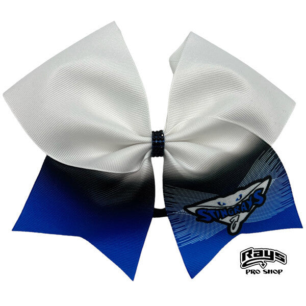 Black & Blue Hair Bow