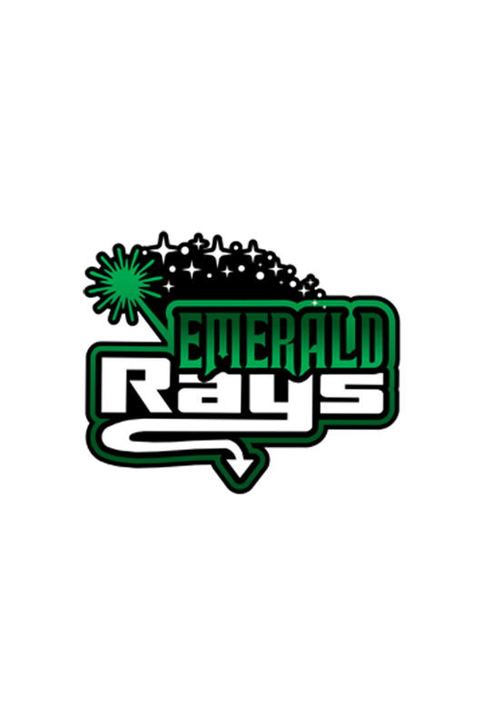 Emerald Rhinestone Bra