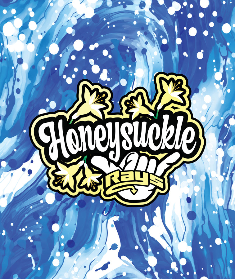 Cartersville Team Plush Blankets