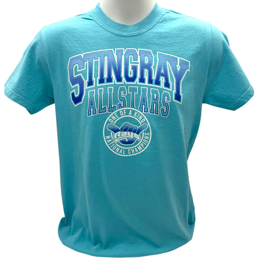 Stingrays Ice Ombre Comfort Color T-shirt