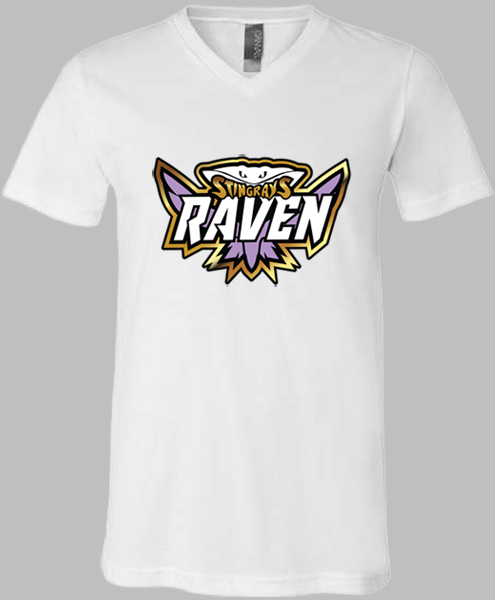 V-Neck T-shirt (Raven)