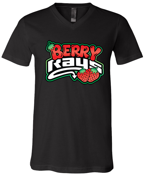 V-Neck T-shirt (Berry)