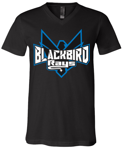 V-Neck T-shirt (Blackbird)