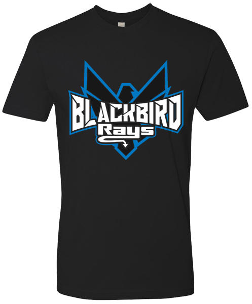 Crew Neck T-shirt (Blackbird)