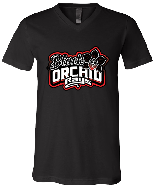 V-Neck T-shirt (Black Orchid)