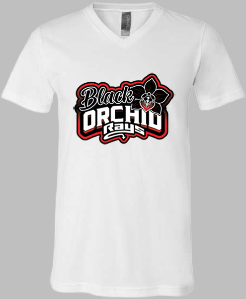 V-Neck T-shirt (Black Orchid)