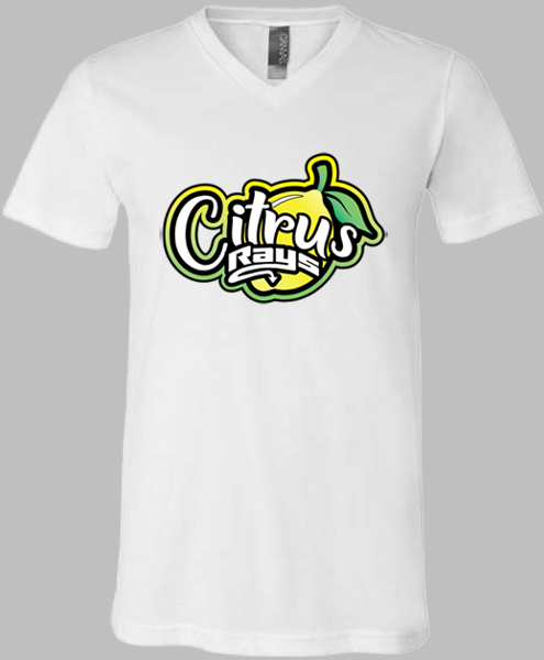 V-Neck T-shirt (Citrus)