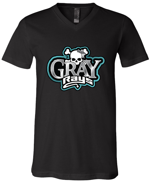 V-Neck T-shirt (Gray)