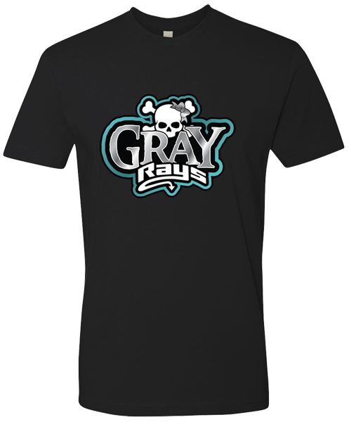 Crew Neck T-shirt (Gray)