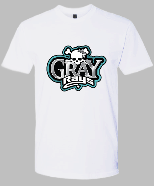 Crew Neck T-shirt (Gray)