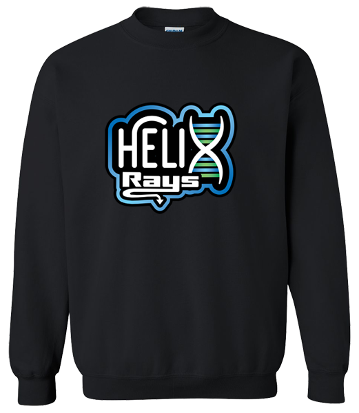 Crew Neck Sweatshirt (Helix)