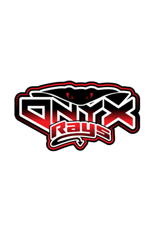 Onyx Rhinestone Sports Bra