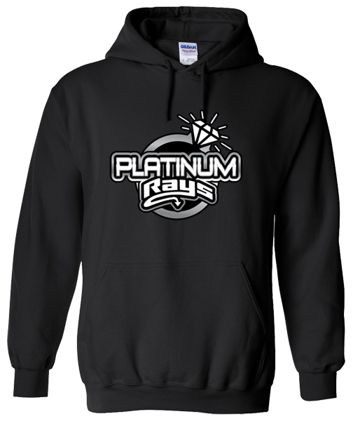 Hoodie (Platinum)