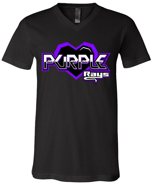 V-Neck T-shirt (Purple)