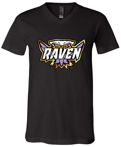 V-Neck T-shirt (Raven)